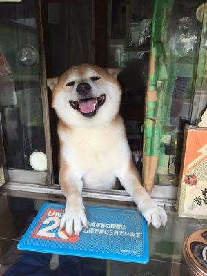犬がどうして可愛いのか真剣に考察するトピ
