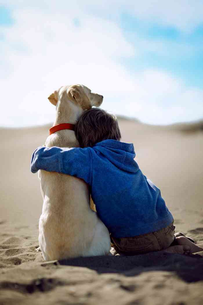 犬がどうして可愛いのか真剣に考察するトピ