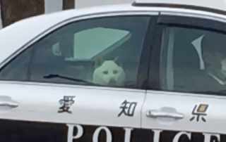 犬がどうして可愛いのか真剣に考察するトピ