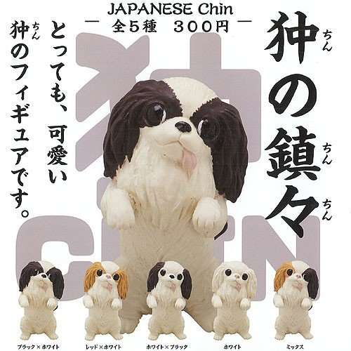 色んなガチャガチャが見たい！！