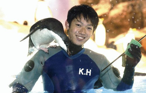 もうこれは絶対仲良し！って感じの画像やGIFが集まるトピ