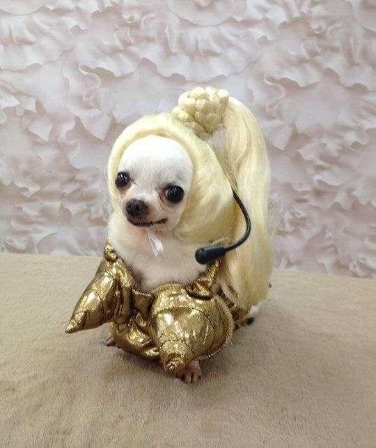 海外のハロウィン仮装が見たい！