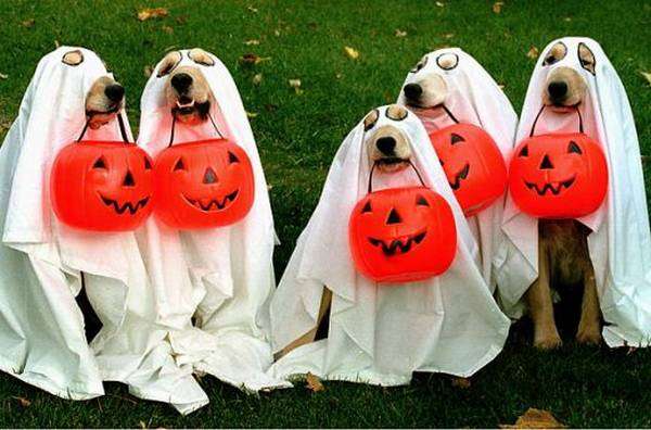 海外のハロウィン仮装が見たい！