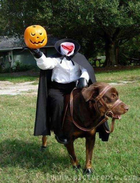 海外のハロウィン仮装が見たい！