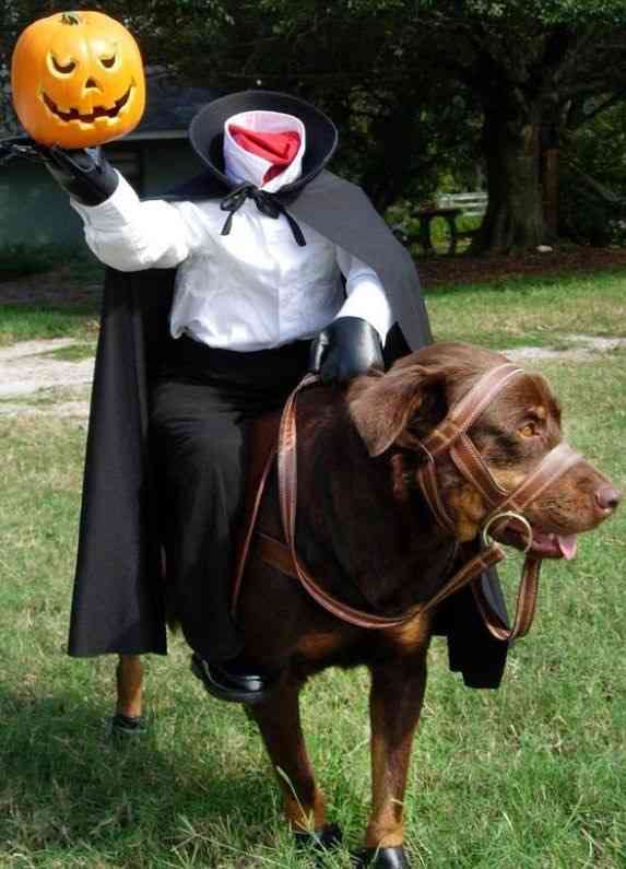 海外のハロウィン仮装が見たい！