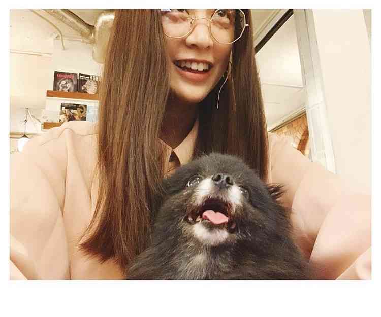 山本美月、愛犬と全く同じ表情の写真に反響 メガネに注目集まる