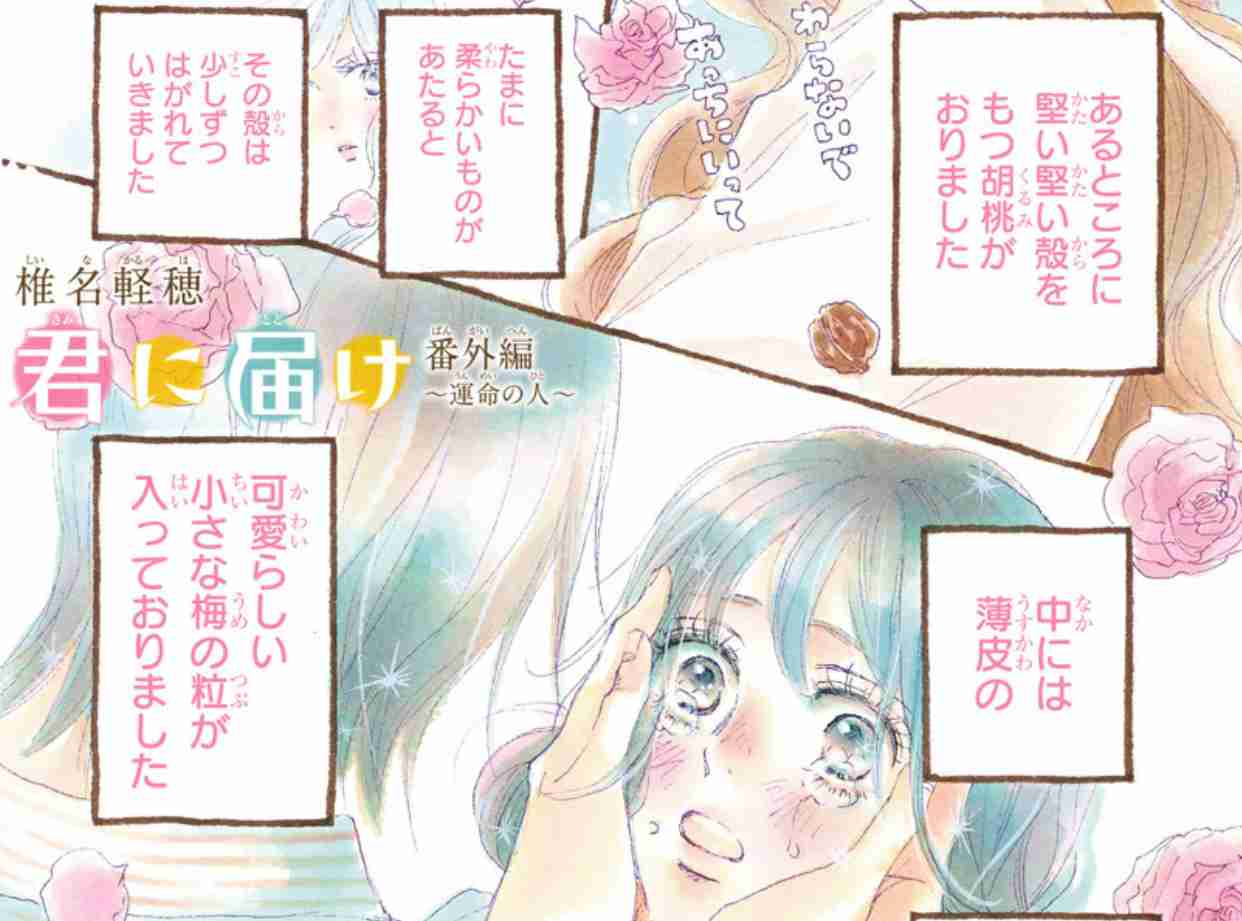 たんぽぽ、学生時代の“非モテ”実話が『別冊マーガレット』で漫画化
