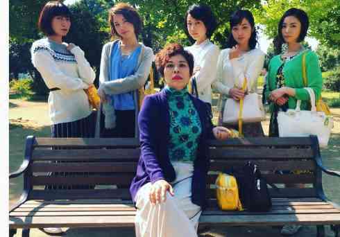 綾瀬はるか×西島秀俊「奥様は、取り扱い注意」が映画化!衝撃最終回のその後描く