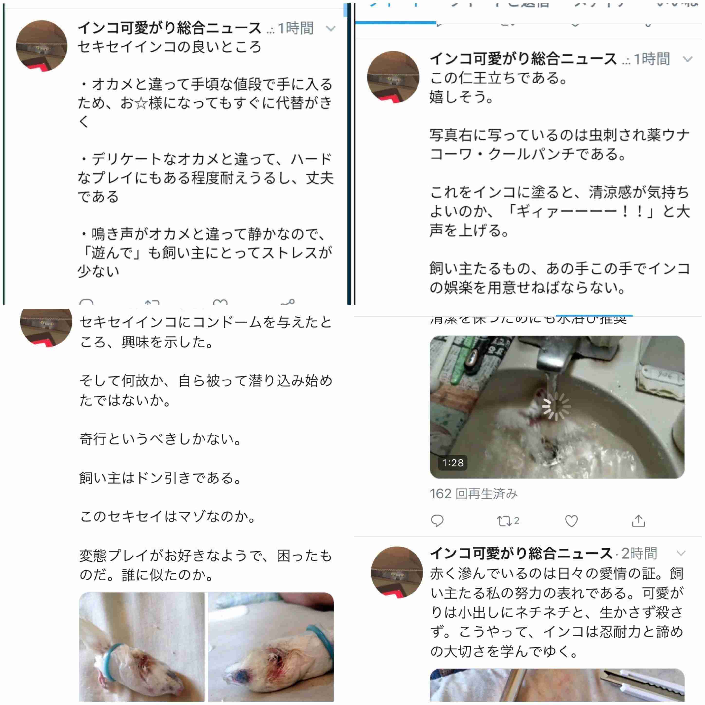 インコに避妊具かぶせライターの火押し付ける…映像投稿の男に罰金20万円