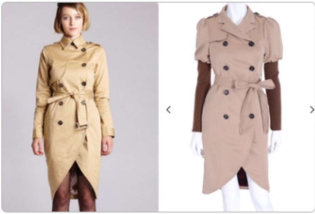 益若つばさ、ブランド5周年「最初は認められず…」