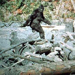マイナーな動物を貼るトピ