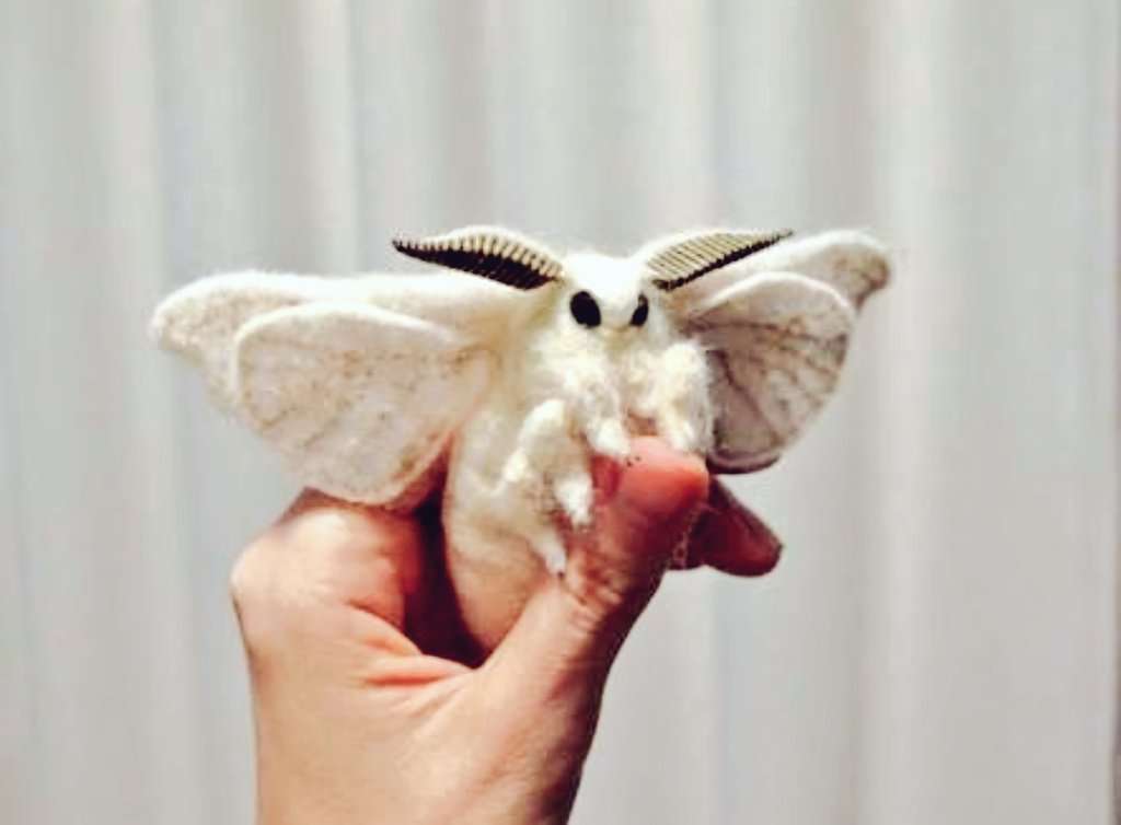 マイナーな動物を貼るトピ