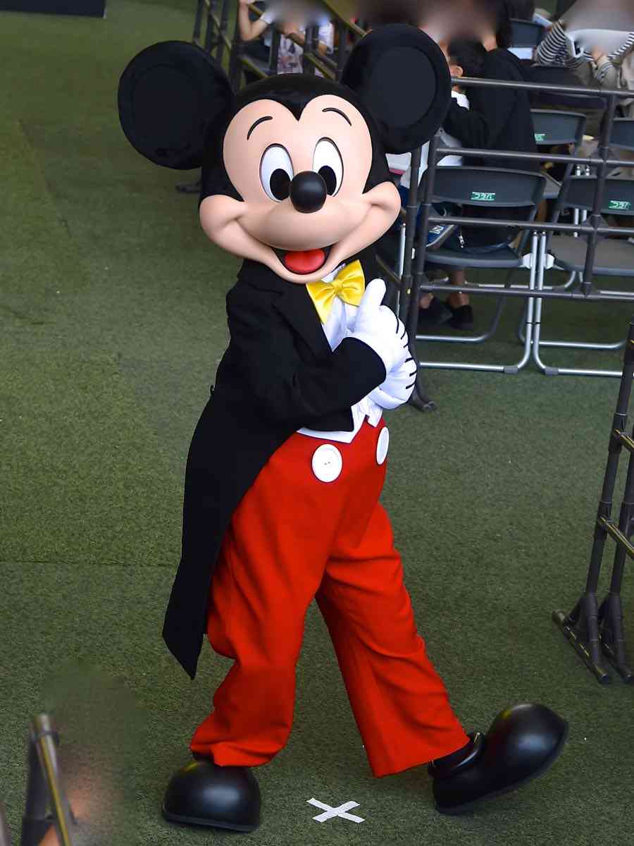 TDL・TDSであった怖い体験