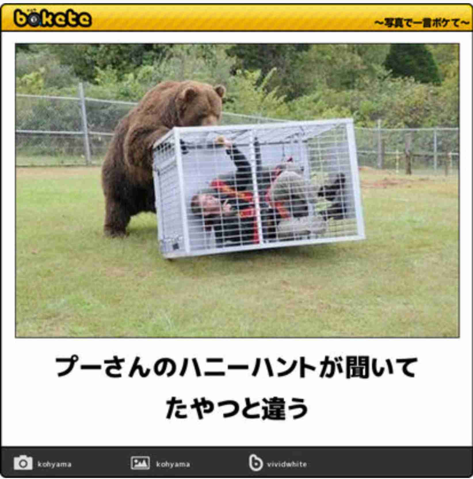ディズニーのboketeを貼るトピ