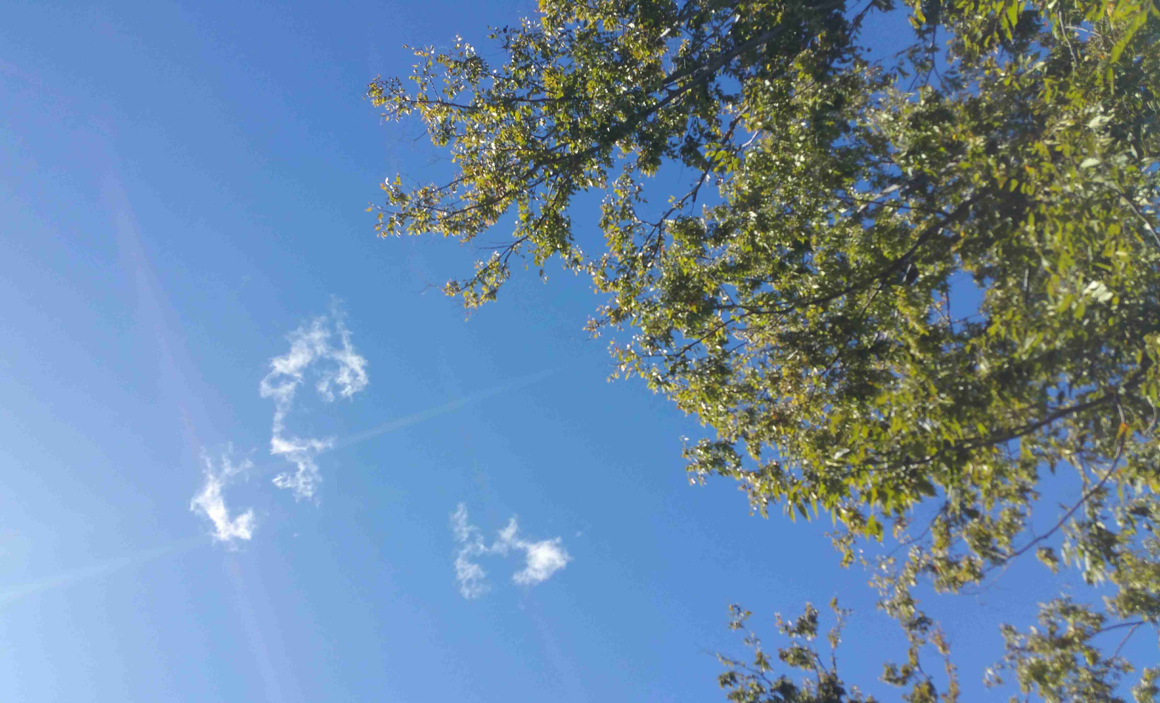 お天気のいい画像が見たい。