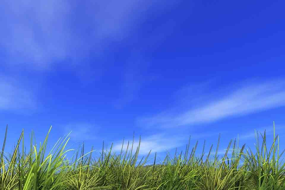 お天気のいい画像が見たい。