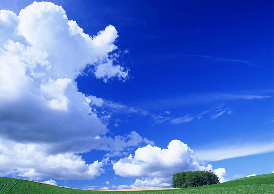 お天気のいい画像が見たい。