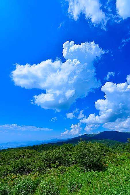 お天気のいい画像が見たい。