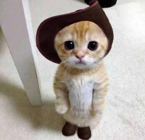 ガルちゃんでマイナス押すコメント