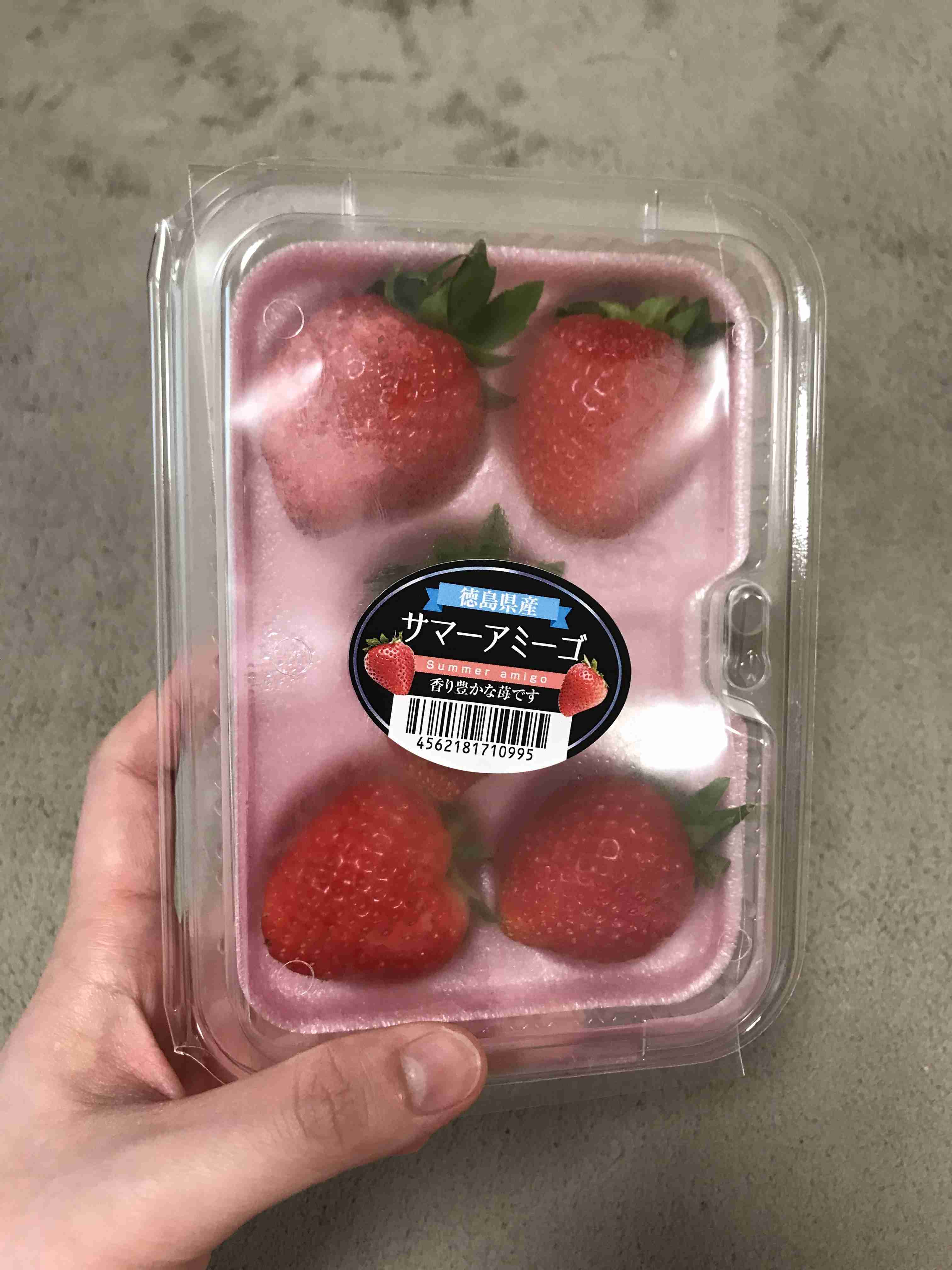 台風をきっかけに男子高校生の弟が作ったケーキが美しすぎた「将来有望なスイーツ研究家」「動機も素晴らしい」
