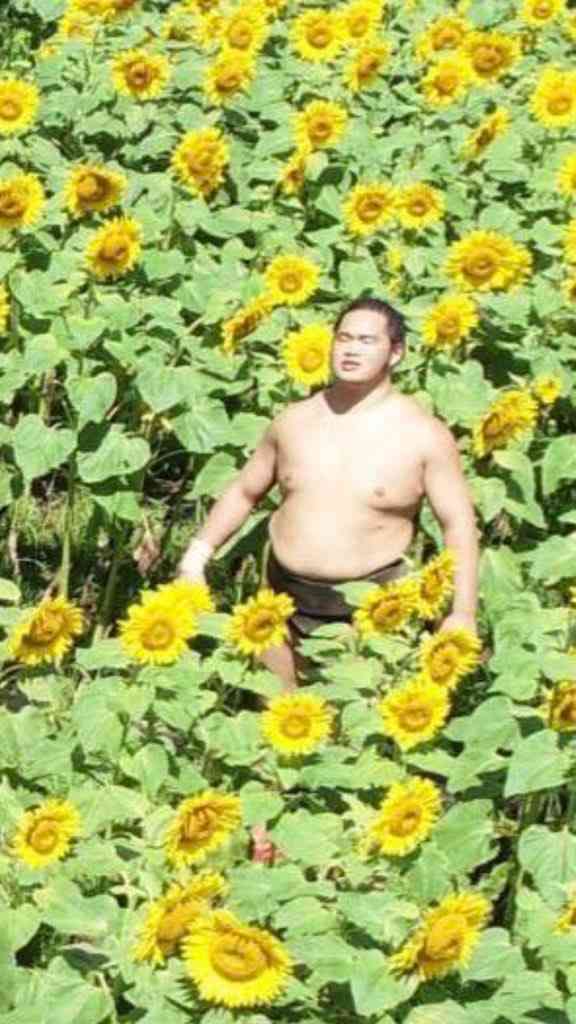 横顔、斜めからの顔がキレイだなと思う画像をお願いします!