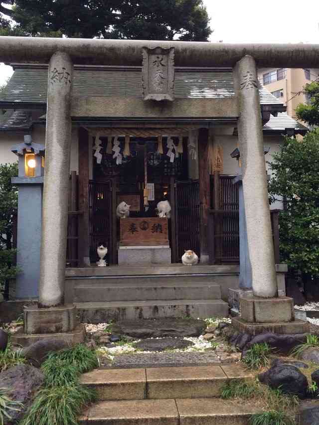 雨宿りしている動物画像ください