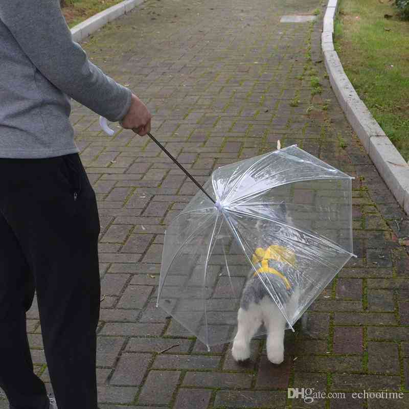 雨宿りしている動物画像ください