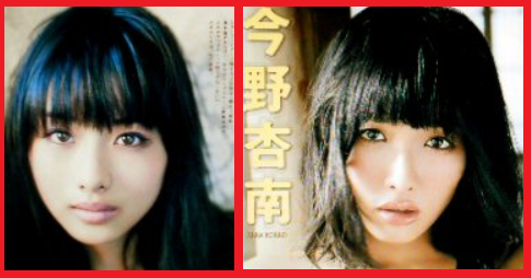 顔の系統が一緒だと思う芸能人