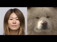顔の系統が一緒だと思う芸能人