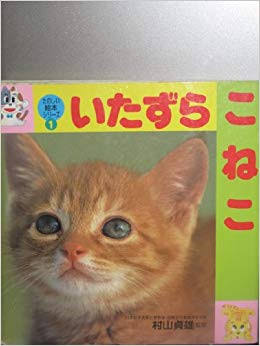 心が不安定な時におすすめの本(メンタル・鬱うつ)