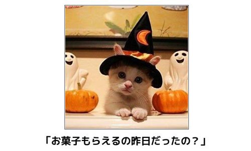 ガルちゃんでこの画像持ってるのはわたしだけ！選手権part2