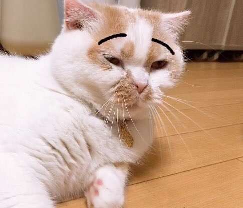 ガルちゃんでこの画像持ってるのはわたしだけ！選手権part2