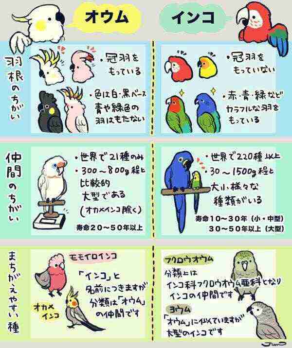 ガルちゃんでこの画像持ってるのはわたしだけ！選手権part2