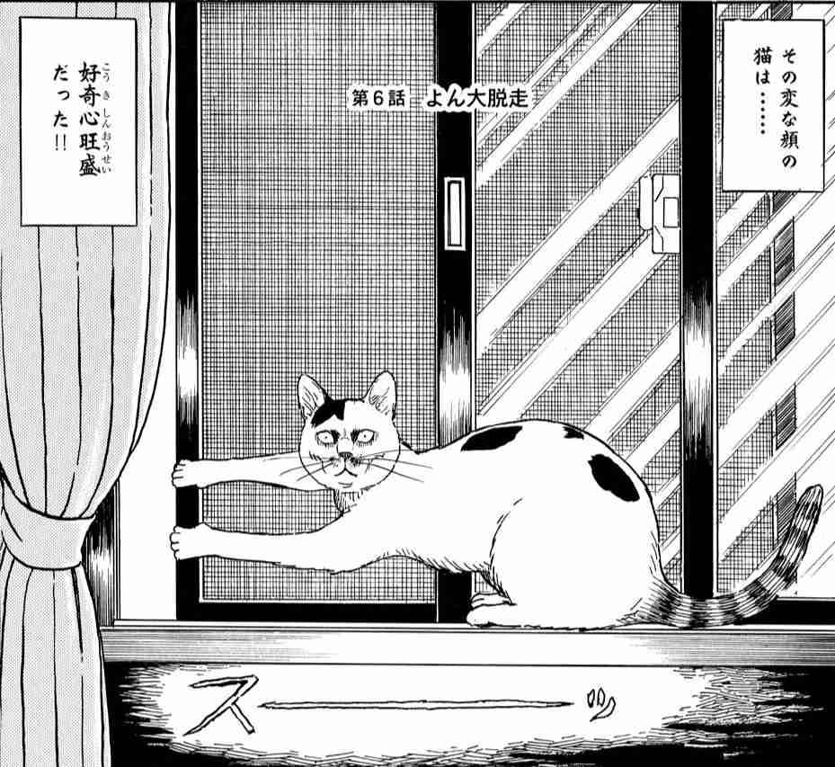 ガルちゃんでこの画像持ってるのはわたしだけ！選手権part2