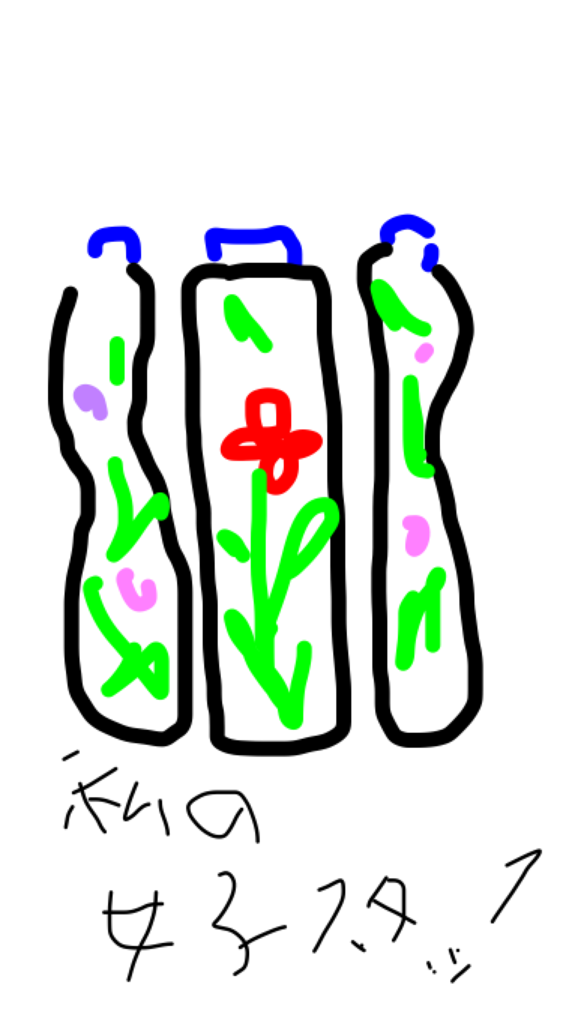 【定期トピ】ガルちゃんでよく見る画像を記憶だけを頼りに描くトピ【お絵描き】その2