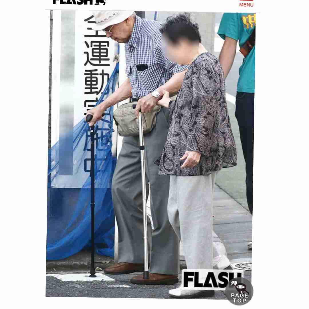 パーキンソン症候群罹患か 東京・池袋母子死亡事故