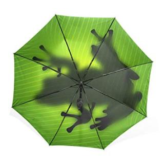 傘、どんなの使ってますか
