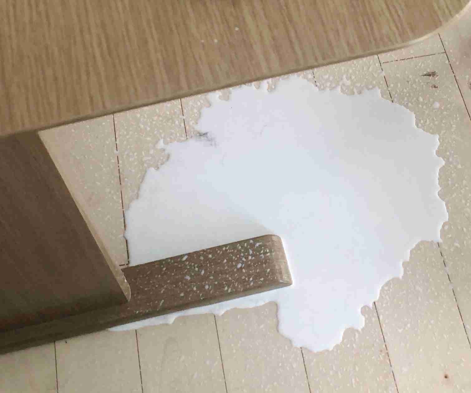 【ペット】ダメ飼い主だなと思う時