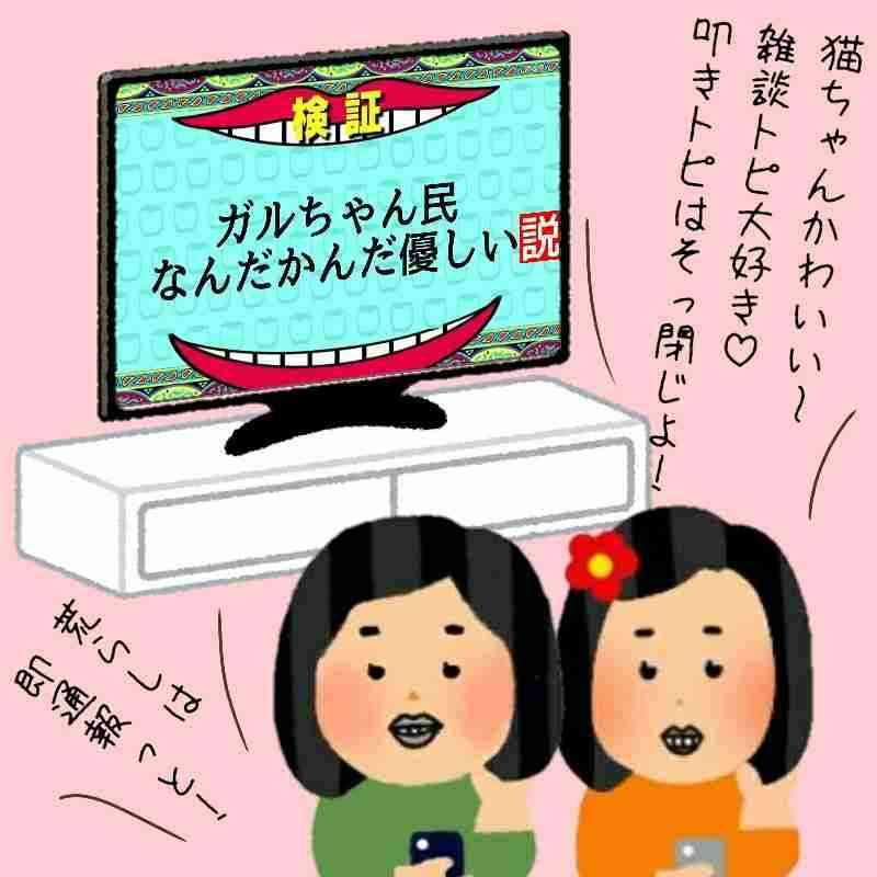 ～画像で表すがるちゃんの世界～