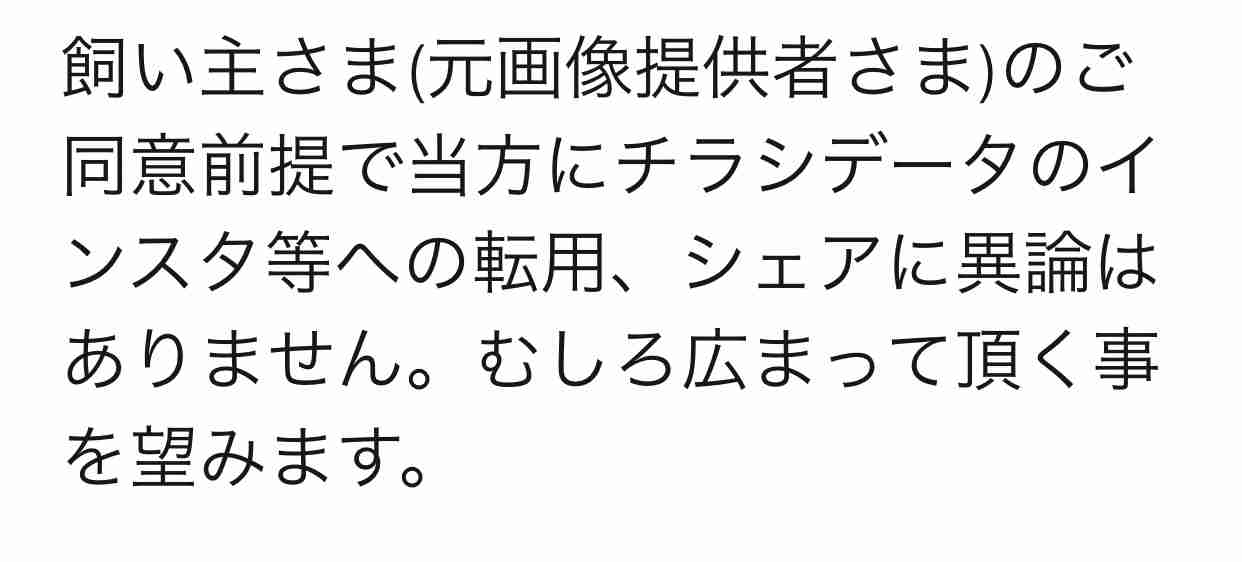 公園で散歩中のトイ・プードル・・・娘の手を噛んだと父親が連れ去り!飼い主は「捜して」と呼びかけ