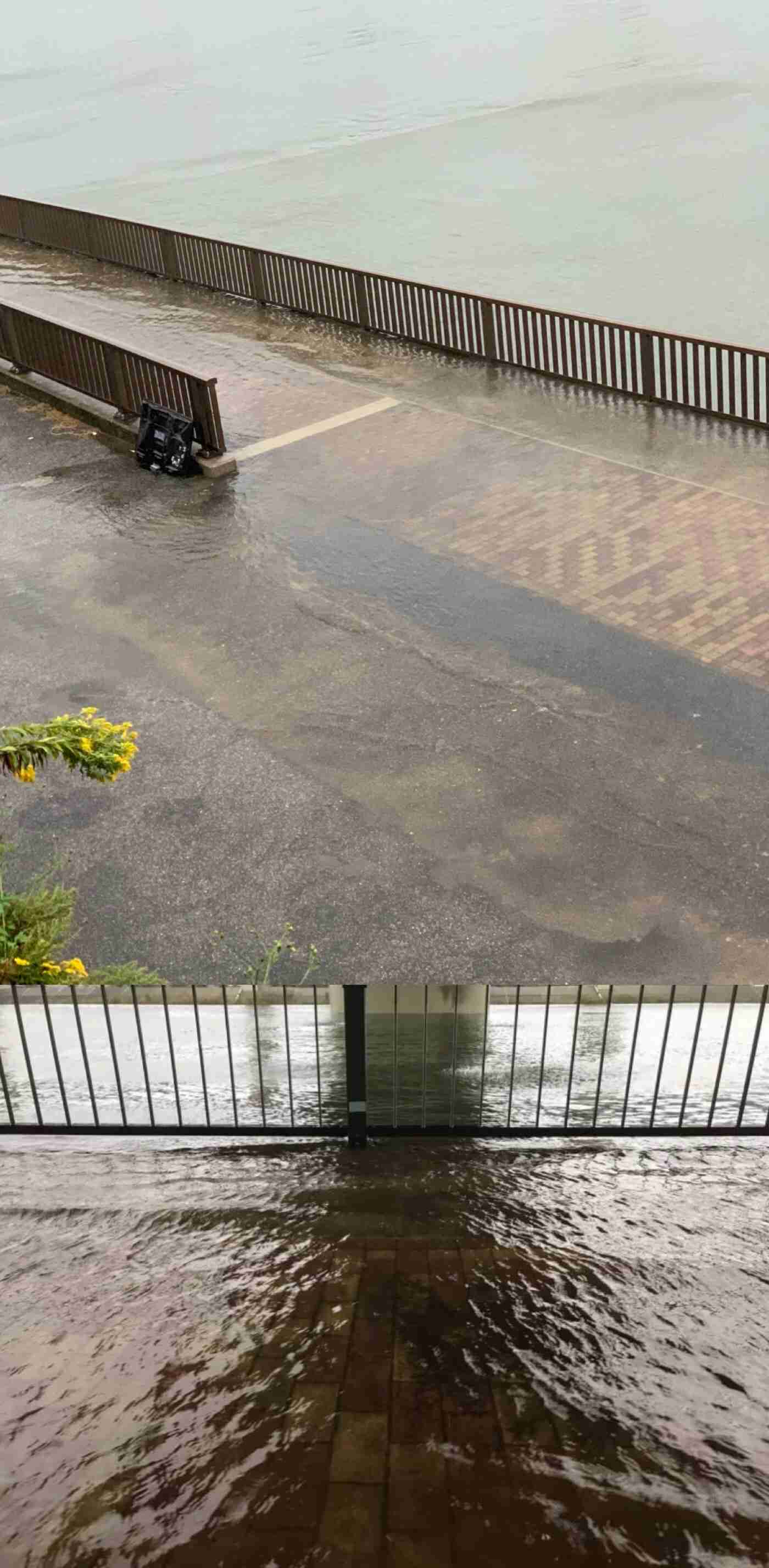 【情報共有】台風19号