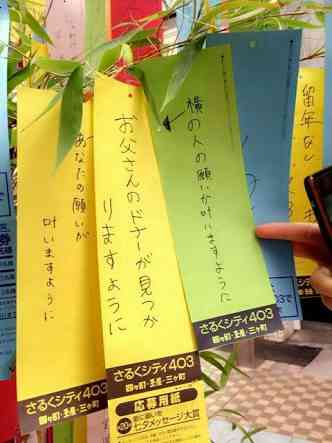 季節のイベント、何が好き?