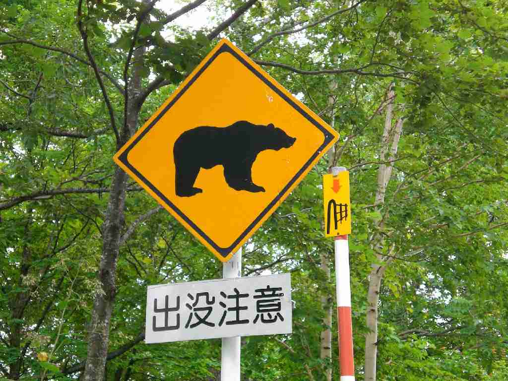旦那に置き去りにされました。