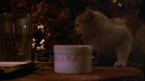 ホラー映画に言いたいこと