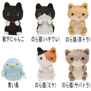 ハチワレ猫