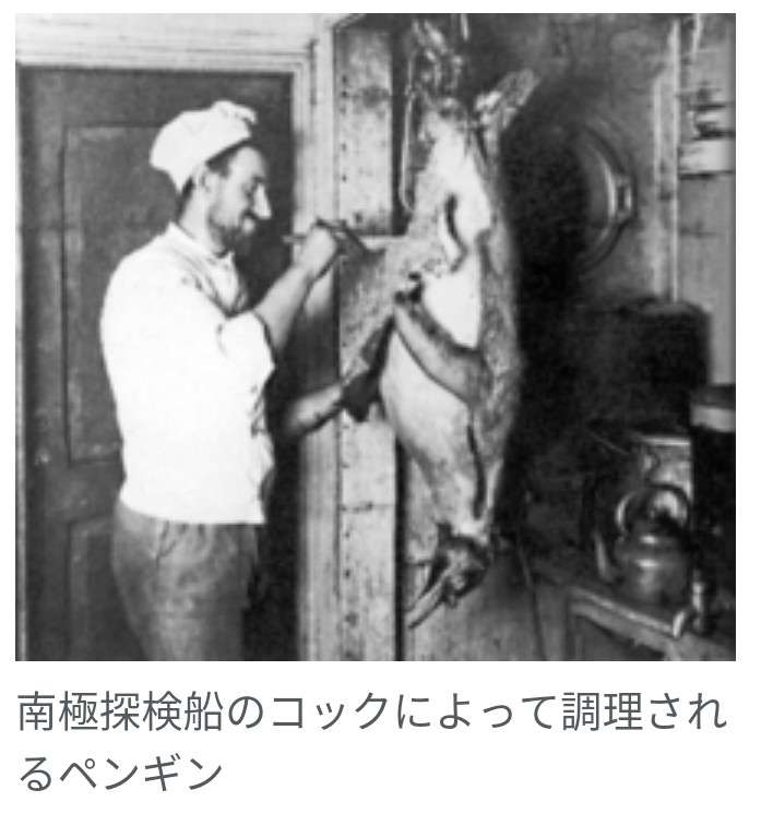 【シーズン4記念】ねほりんぱほりんを語ろう！