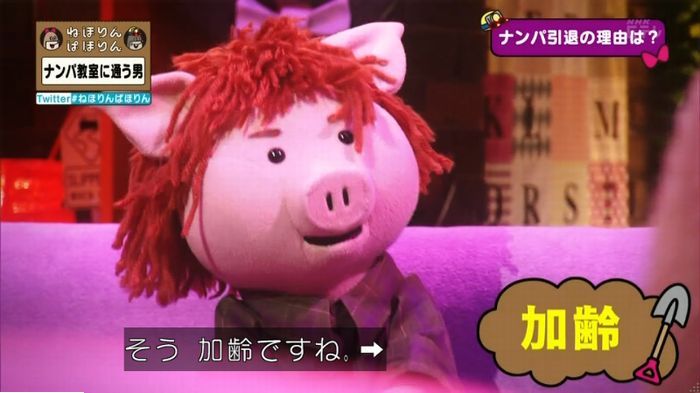 【シーズン4記念】ねほりんぱほりんを語ろう！