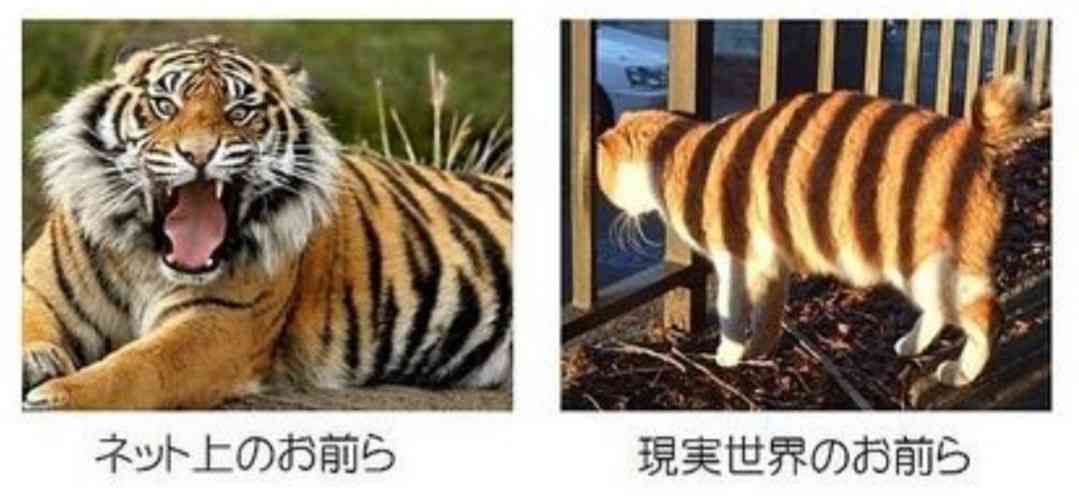 ガルちゃんをして性格が変わった人