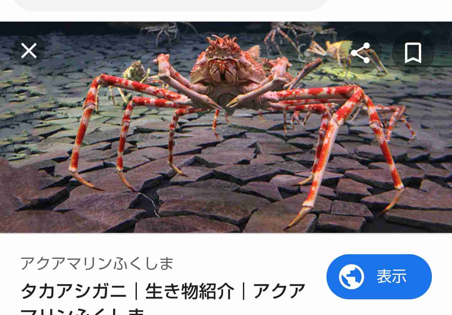 道端アンジェリカ、5日のファッションイベント「TGC　KITAKYUSHU」出演キャンセル