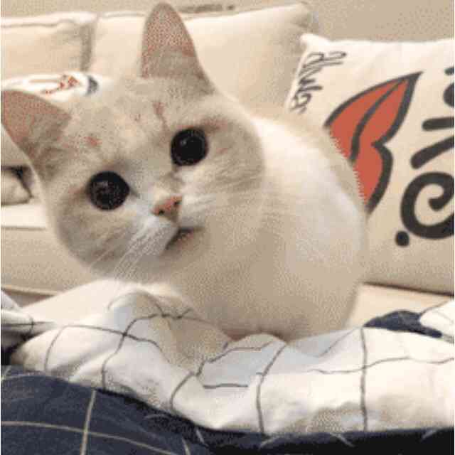 母親「感謝と残念」 情報求め動画公開　小倉美咲ちゃん大規模捜索打ち切り